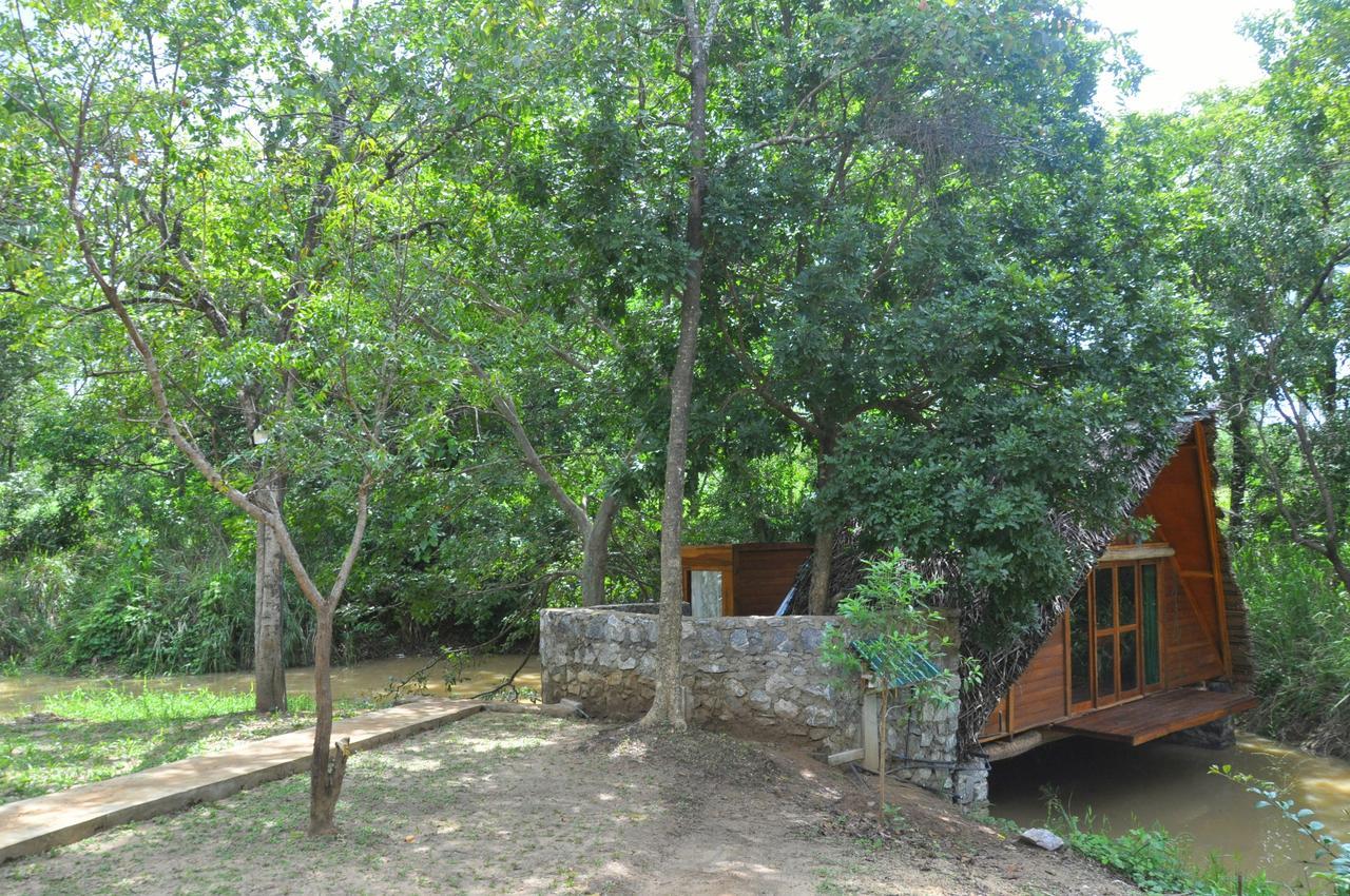 הוילה דמבולה Raintree מראה חיצוני תמונה